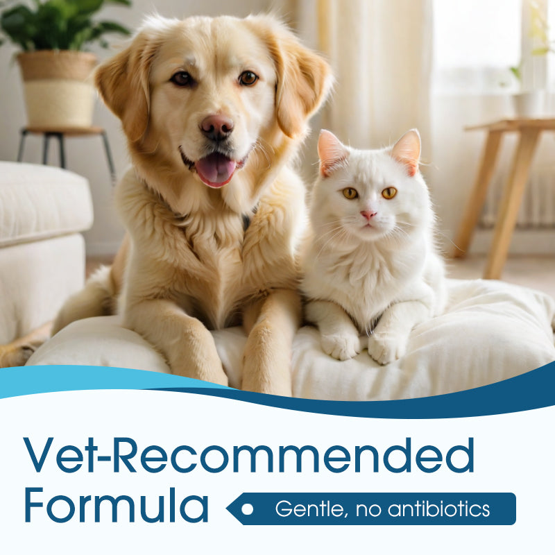 🔥 Today Only: Get 50% Off Your Second Item|🐶🐱 Ear cleaner, Relieves itching in dogs & cats