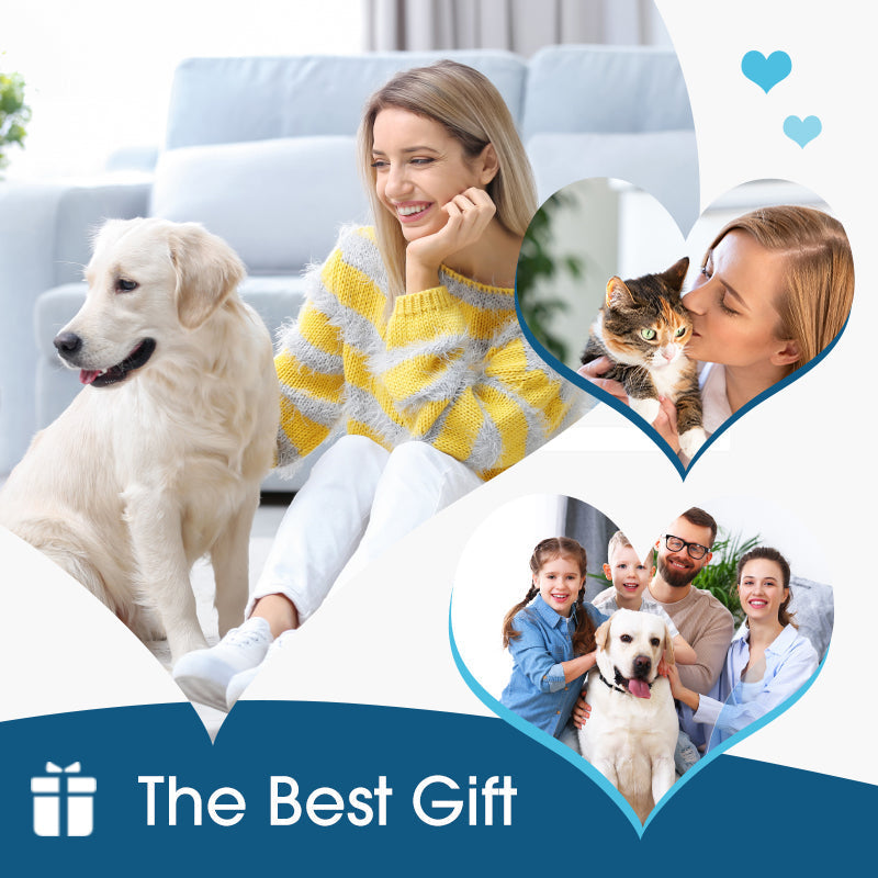 🔥 Today Only: Get 50% Off Your Second Item|🐶🐱 Ear cleaner, Relieves itching in dogs & cats